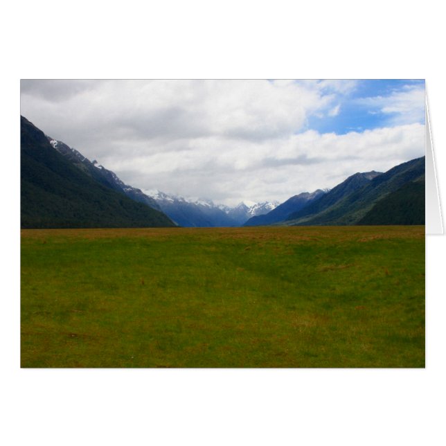 campo nz (Anverso (Horizontal))