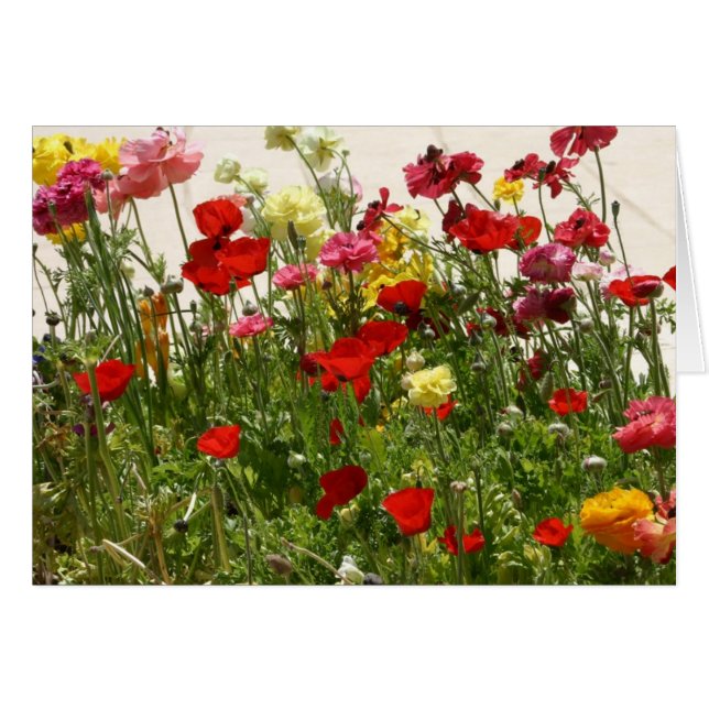 Campo silvestre (Anverso (Horizontal))