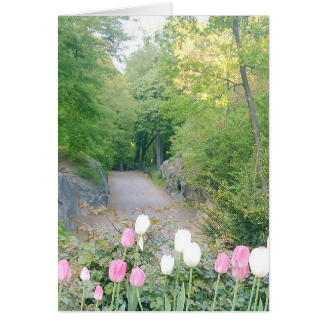Campos de fresa, Central Park (Frente)