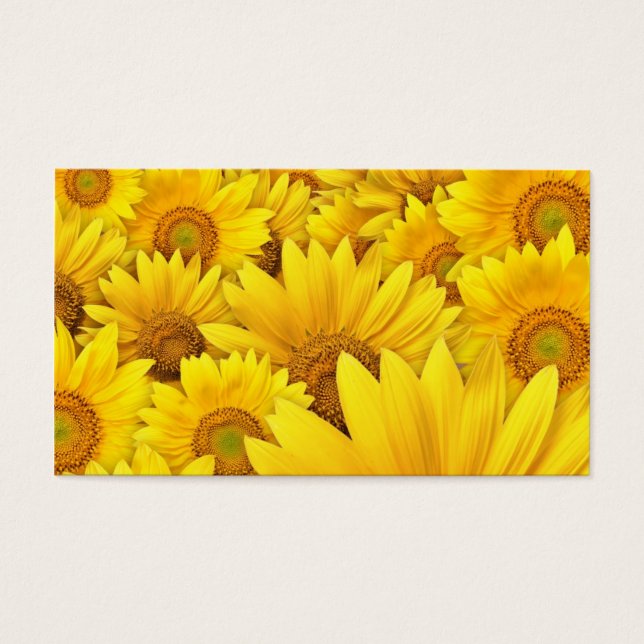 Campos de girasol amarillo (Frente)