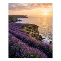 Campos de lavanda costeros al atardecer Arte de pa