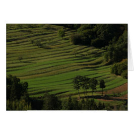 Campos de otoño, Prem, Eslovenia