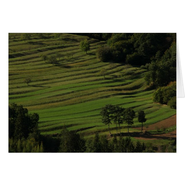 Campos de otoño, Prem, Eslovenia (Anverso (Horizontal))