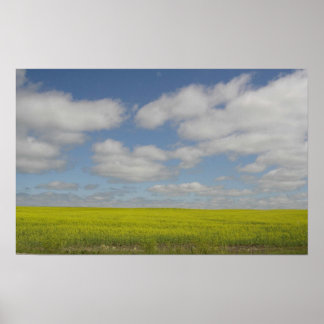 Campos de pradera Imprimir impresiones de paisajes