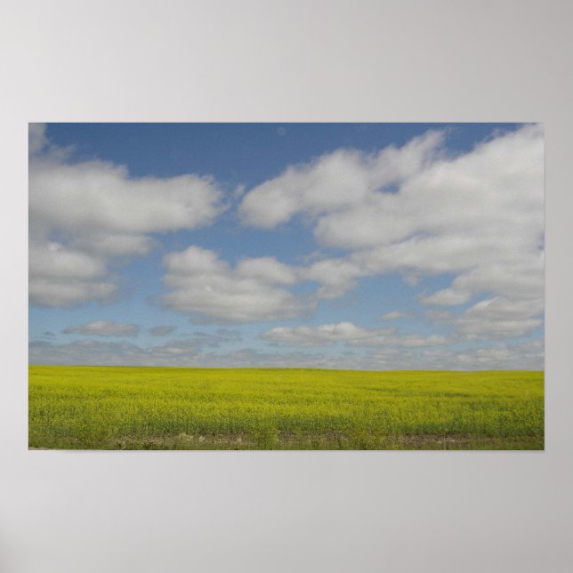Campos de pradera Imprimir impresiones de paisajes (Frente)
