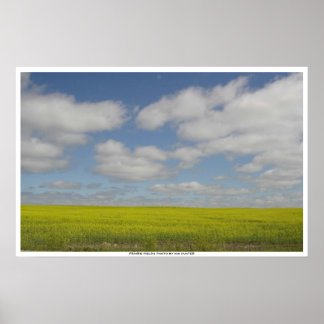 Campos de pradera Imprimir impresiones de paisajes