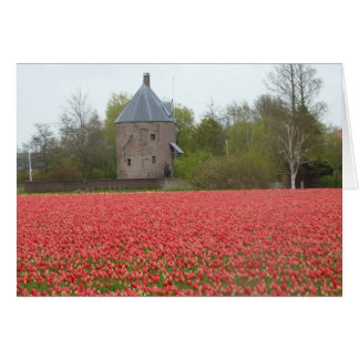 Campos de tulipán rojo y iglesia
