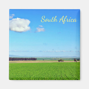 Campos de viñedo de Sudáfrica Imán de paisaje