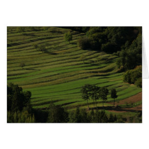 Campos del otoño, Prem, Eslovenia