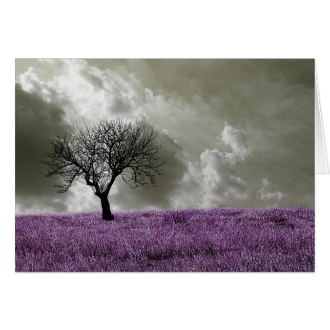 Campos púrpuros (Anverso (Horizontal))