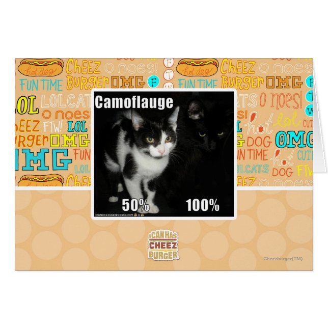 Camuflaje (Anverso (Horizontal))