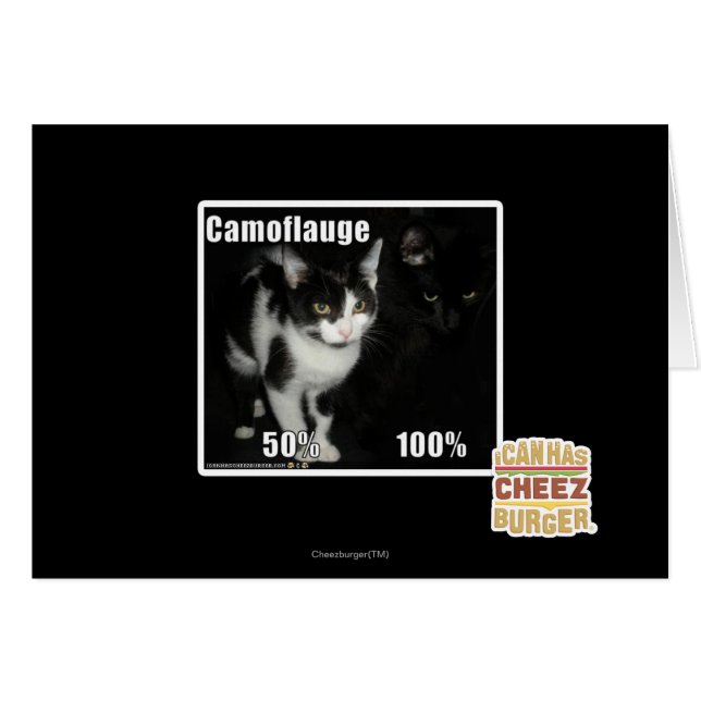 Camuflaje (Anverso (Horizontal))