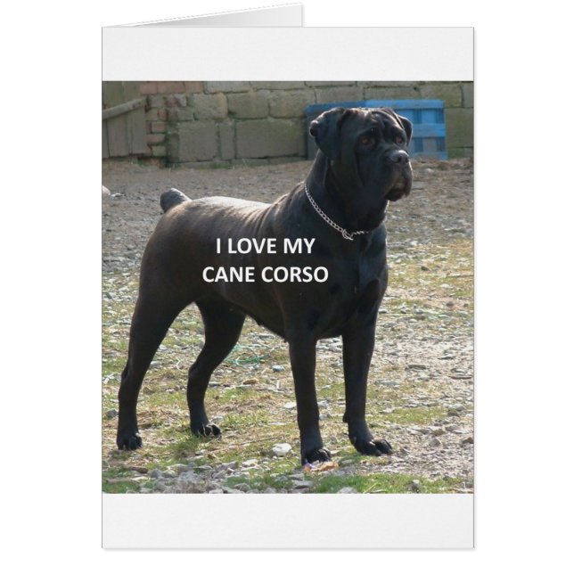 caña corso amor negro con foto (Frente)