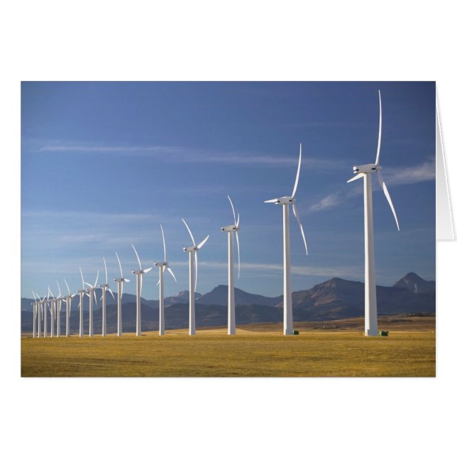 Canadá, Alberta, área de Crowsnest Pass: Cowley (Anverso (Horizontal))