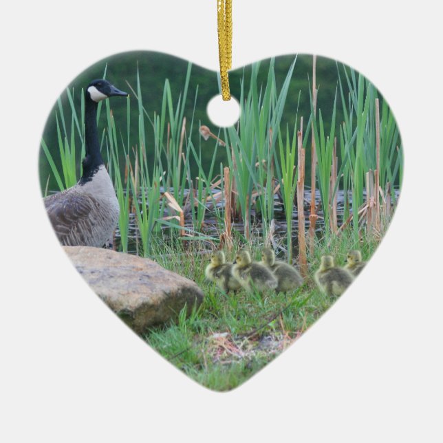 Canadá Bebés de oca Ornamento animal (Frente)