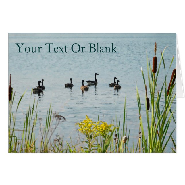 Canadá Geese Y Cattails (Anverso (Horizontal))