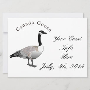 Canadá Goose Gander Thunder_Cove