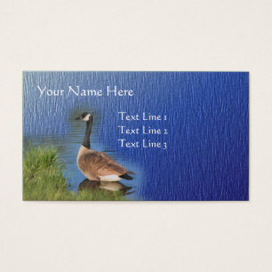 Canadá Goose Nature Animal Art