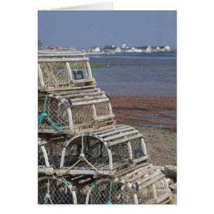 Canadá, Isla del Príncipe Eduardo, Rústico. Lobo