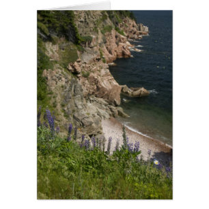 Canadá, Nueva Escocia, Isla de Cabo Breton, Cabot 