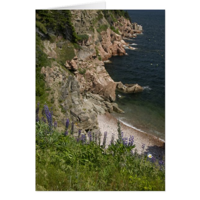 Canadá, Nueva Escocia, Isla del Cabo Bretón, Cabot (Frente)