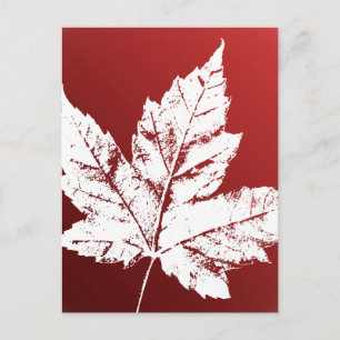 Canadá postales postales Guay Canadian Souvenir
