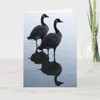 Canadá Tarjetas Goose Canadá Tarjetas de felicitac
