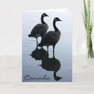 Canadá Tarjetas Goose Canadá Tarjetas de felicitac