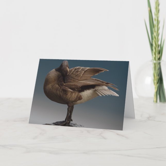 Canadá Tarjetas Goose Canadá Tarjetas de felicitac (Anverso)