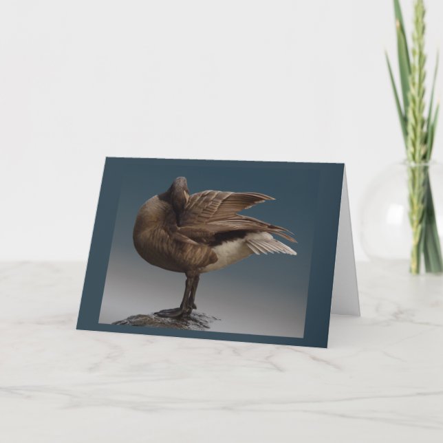 Canadá Tarjetas Goose Canadá Tarjetas de felicitac (Anverso)