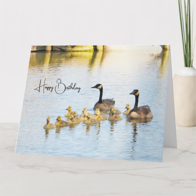 Canadiense Geese & Goslings - Tarjeta de cumpleaño (Anverso)