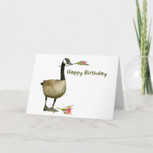 Canadiense Goose con tarjeta de cumpleaños Rosa