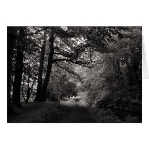 Canal, Bute Park, Cardiff, Gales