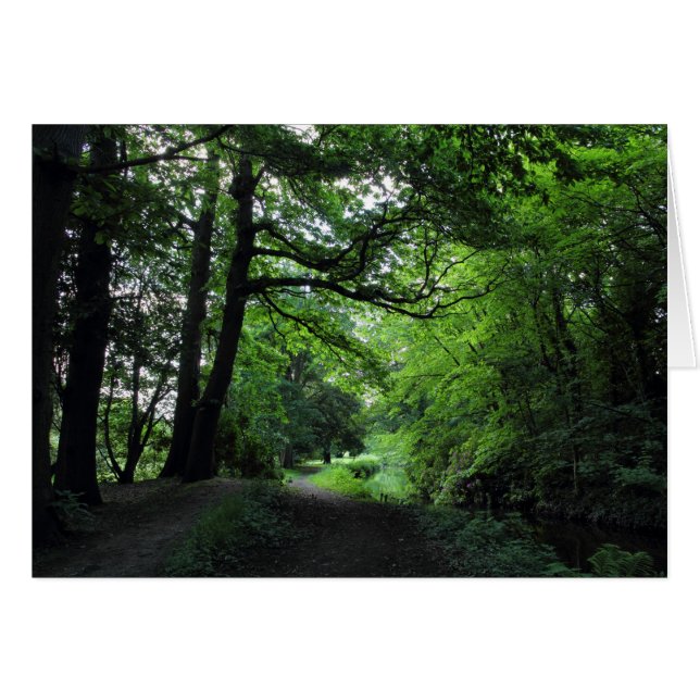 Canal, Bute Park, Cardiff, Gales (Anverso (Horizontal))