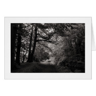 Canal, Bute Park, Cardiff, Gales (Bordeado)