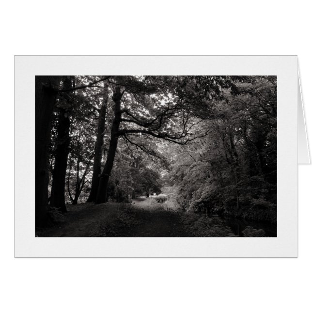 Canal, Bute Park, Cardiff, Gales (Bordeado) (Anverso (Horizontal))