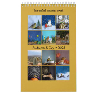 Canario 2021 de calendario mural para pájaros cur