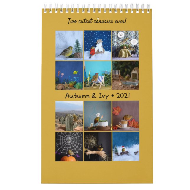 Canario 2021 de calendario mural para pájaros cura (Tapa)