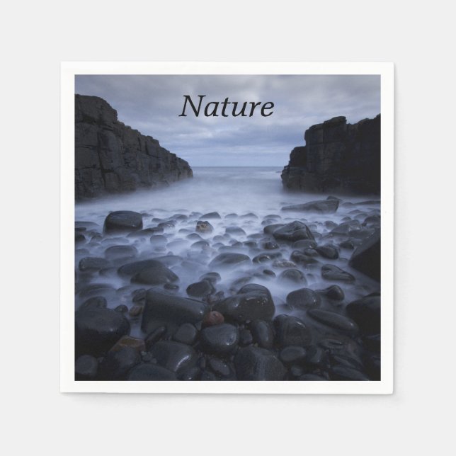 Canas y rocas a lo largo de la servilleta costera  (Anverso)