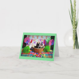 Canasta de diversión