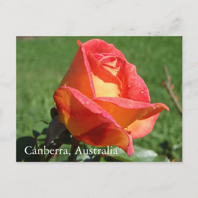 Canberra, postal de Australia (Anverso)