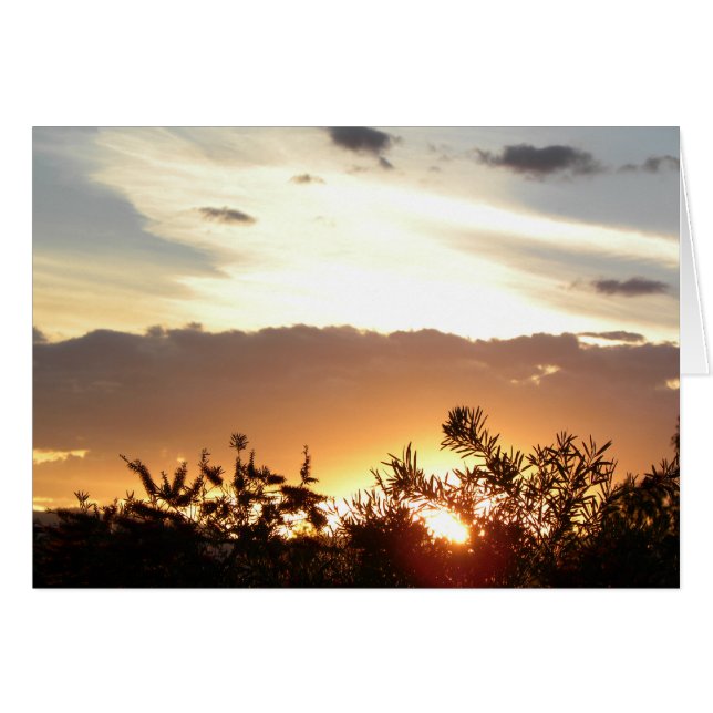 Canberra Sunset (Anverso (Horizontal))