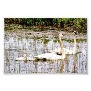 Cáncer de fotos 6x4