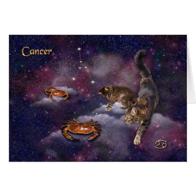 Cáncer para los amantes del gato (Anverso (Horizontal))