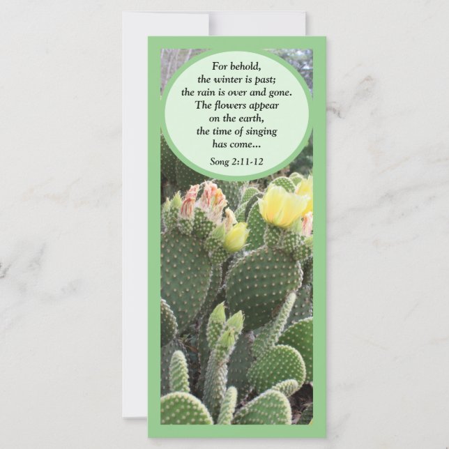 Canción de flor de cactus de tarjeta plana de Salo (Anverso)
