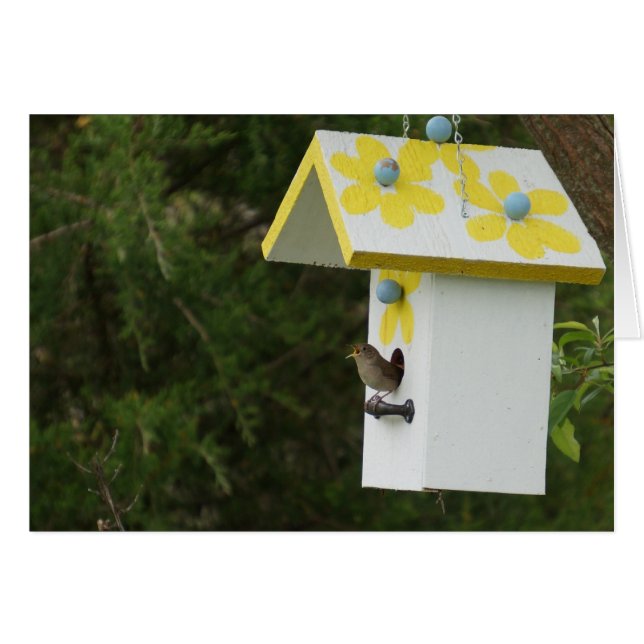 Canción de pájaro (Anverso (Horizontal))