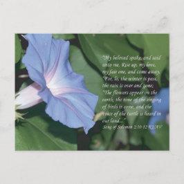 Canción de Salomón 2:10-12 Postales de Escritura