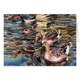 Canción del otoño - gansos y patos en la charca