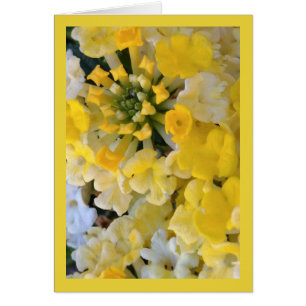 Canción feliz de las floraciones del amarillo del