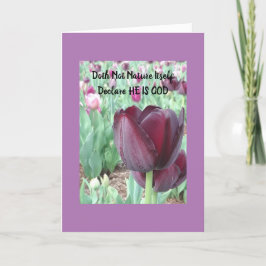 Canciones de la tarjeta de elogio Tulip de Sunrise